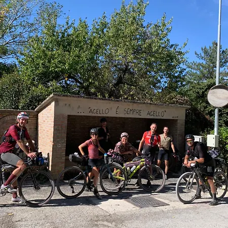 Salimbeni San Severino Marche