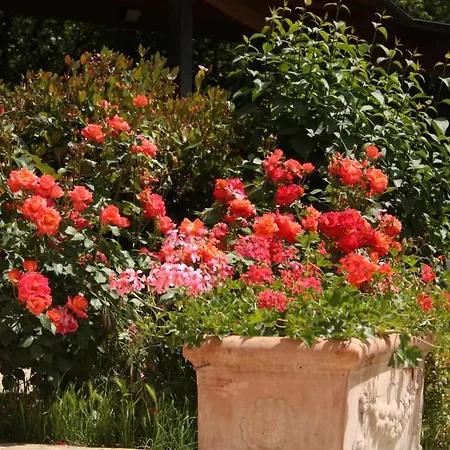 Landhaus Salimbeni San Severino Marche