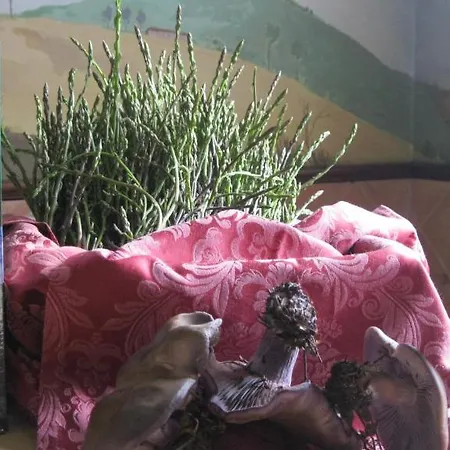 Salimbeni Landhaus San Severino Marche