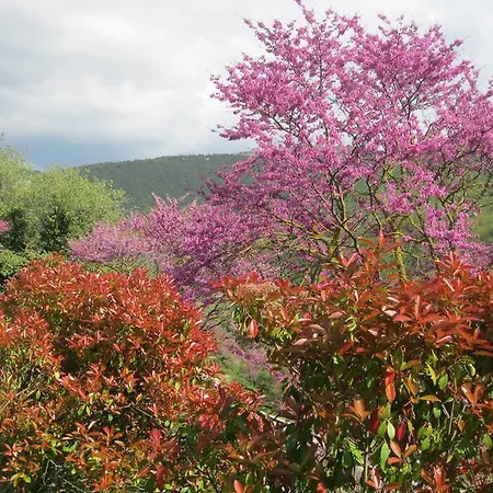 Salimbeni Landhaus *